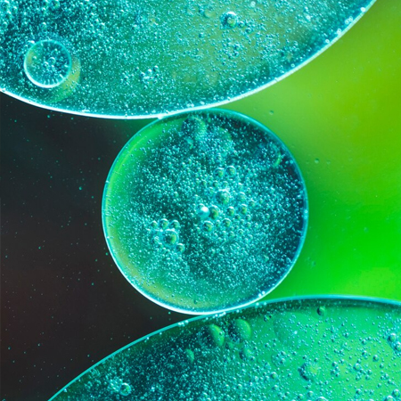 Portfolio Image 1